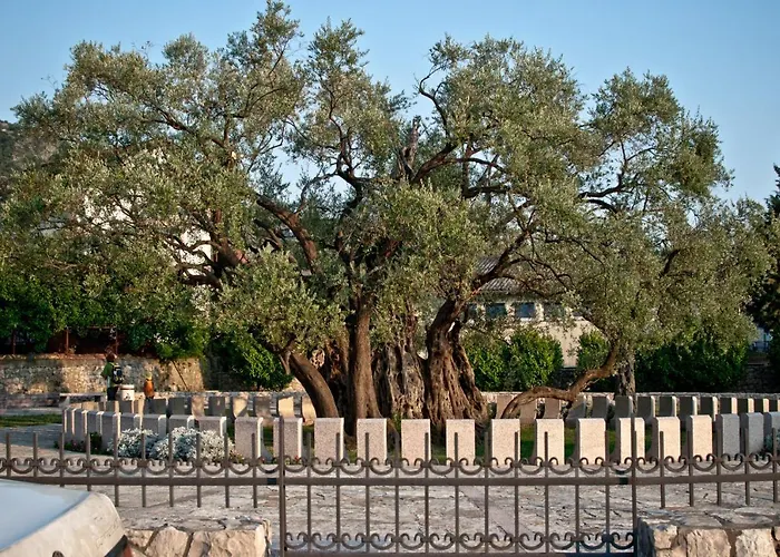 Majero Apartments