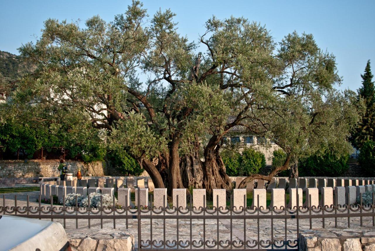 Majero Utjeha